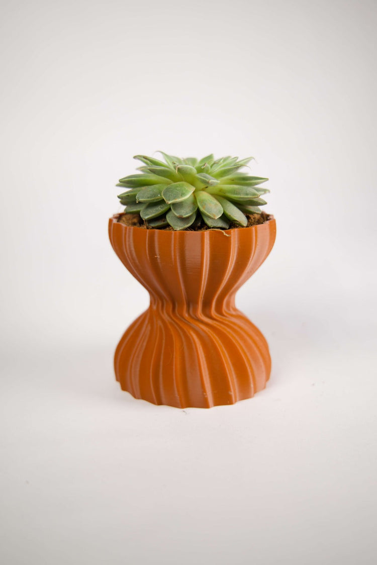 Desk Planters | 3D Printed