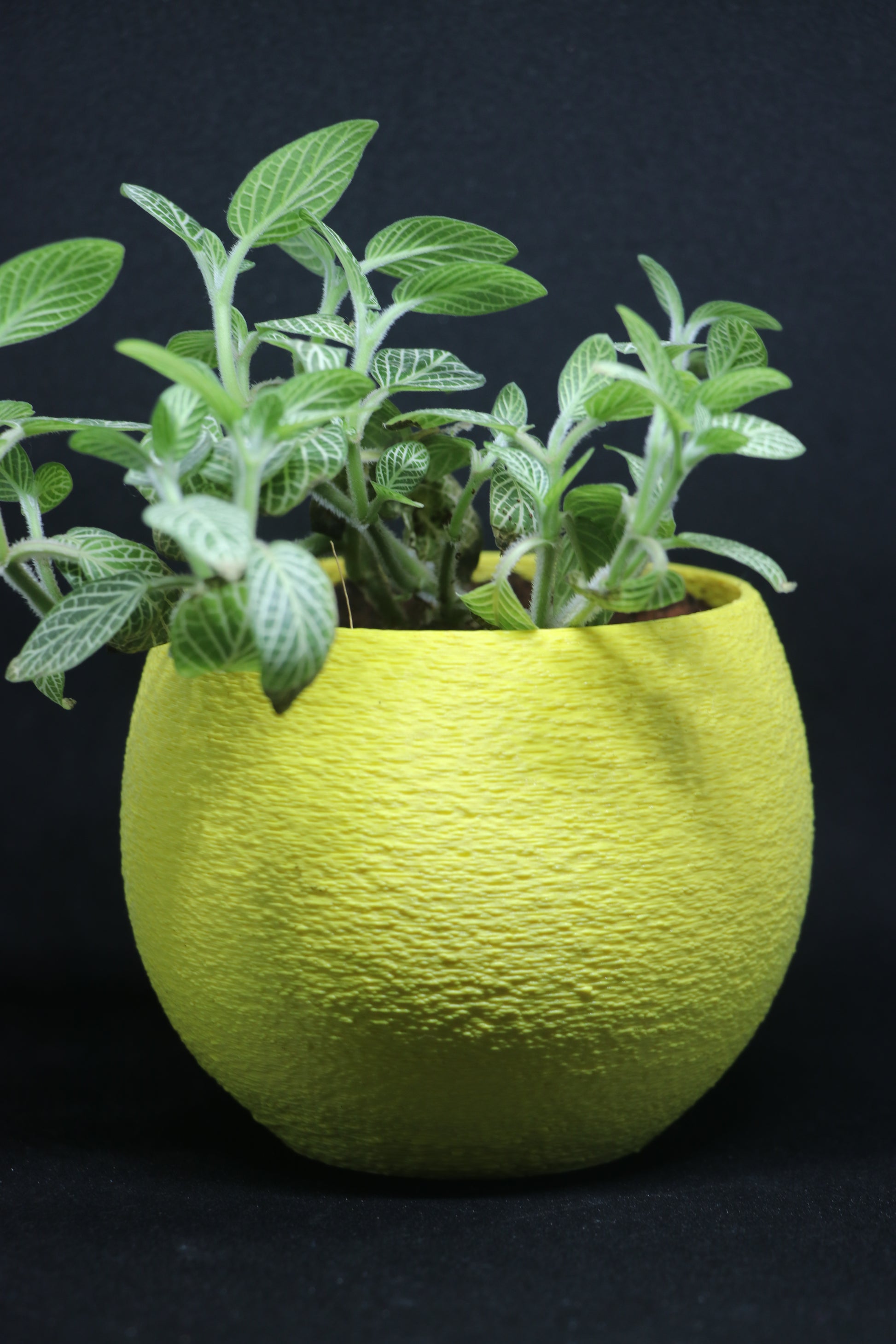 goblet plant pot Goblet Planter | 3D Printed